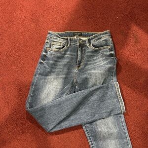 Judy Blue Dark Wash Skinny Jeans